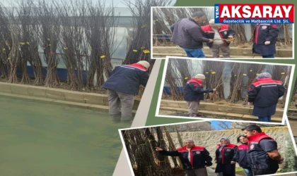 Aksaray’da fidan satışlarına sıkı denetim