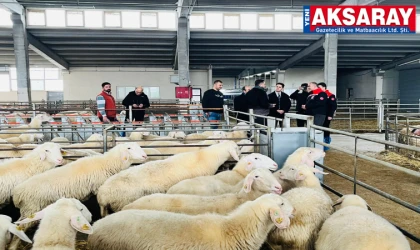 Eskil’de örnek hayvancılık