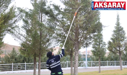 Parklarda ‘yeşil’ mesai