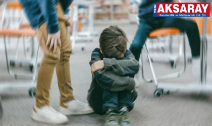 Akran zorbalığına sistematik çözüm