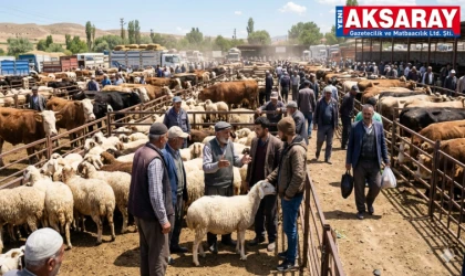 Aksaray'da kurbanlık fiyatları belli oldu