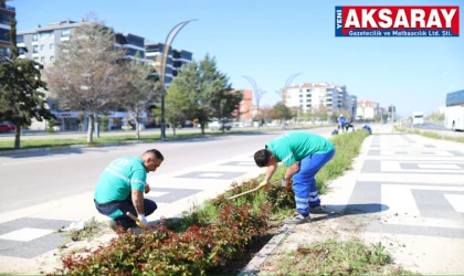 Aksaray’ın girişi gül kokacak