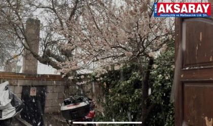 Çiçekteki meyve ağaçlarının üzerine kar yağdı