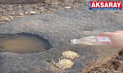 GÖNLÜ ZENGİN ÇOBAN: ‘Sadakam dağdaki kurda kuşa’
