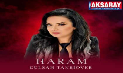 Hemşehrimiz Gülşah’tan yeni şarkı