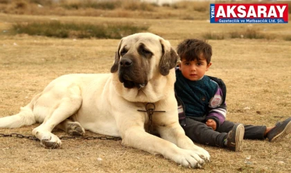 Malaklı ile yeniden gündemdeyiz