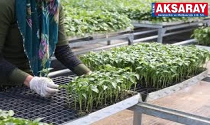 Tüketici artık kendi sofrasının "çiftçisi" oluyor