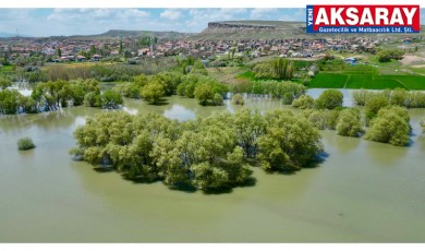 Yıllardan sonra aynı görüntüye kavuştu