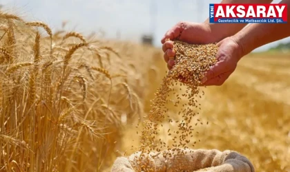Hububat alım fiyatları açıklandı