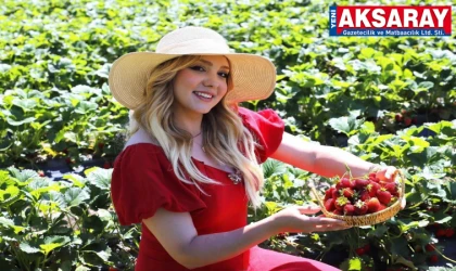 KANAL 7 TV’NİN ÜNLÜ SUNUCUSU HEMŞEHRİMİZ MERVE AMAÇ “Aksaray’ın doğası kadar çilekleri de muhteşem”