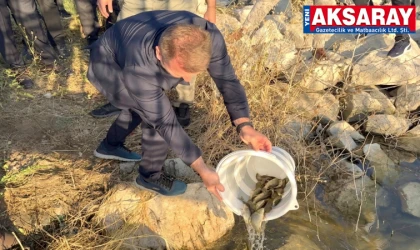 SU KAYNAKLARI CANLANIYOR  500 Bin balık suyla buluştu