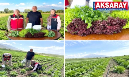 Aksaray’da güvenli gıda için tarla denetimi
