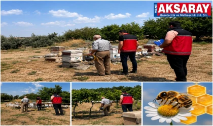 Arılı kovan tespit ve denetimi sürüyor