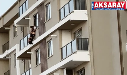 CANINA KIYMAK İSTEDİ 7. Katın balkonunda baş aşağı asılı yakalandı