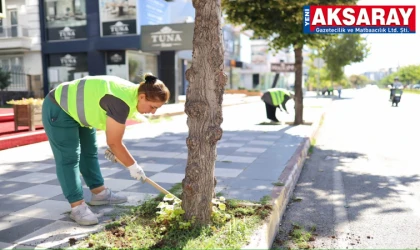 Ekipler ot temizliğinde