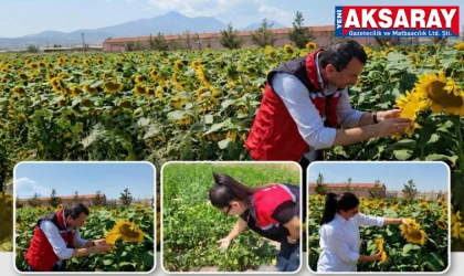 EKİPLER SAHADA Kayıt altına alınan parseller kontrol ediliyor