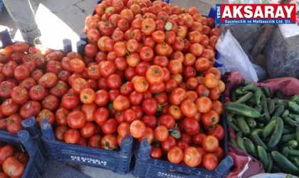 Kışlık heyecanı başladı 