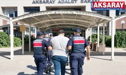 Köpek dövüştürüp sosyal medyada paylaşan 3 şüpheli yakalandı