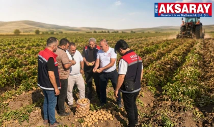 Ortaköy'de patates hasat kontrolü