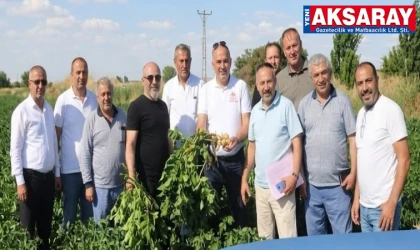 Patates üretim alanları incelendi