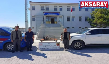 Yabani kuşlar ele geçti