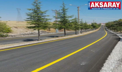 İl Özel İdaresi’nden konforlu yollar