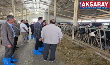 Kaymakam hayvancılık tesislerini gezdi
