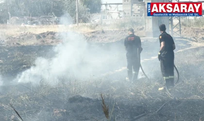 Kurumuş otların tutuşması ile yangın çıktı