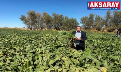 Pancar üreticileri adil bir taban fiyat istiyor
