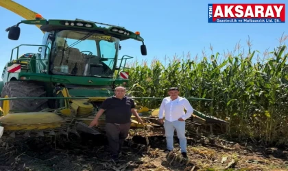 SİLAJLIK MISIR HASADI BAŞLADI  Hayvancılığın can damarı tarlalardan toplanıyor