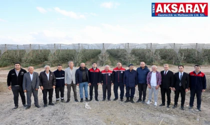 Çölde elma yetiştirdi