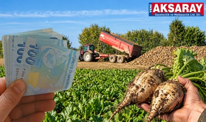 Pancar alım fiyatı beklentilerin altında kaldı