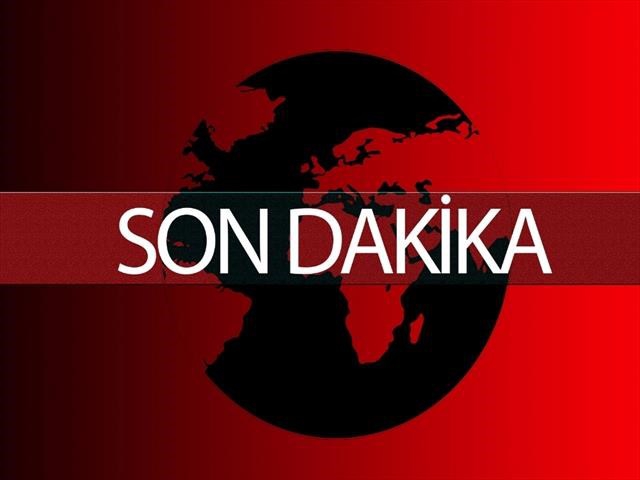 SERACILARA BÜYÜK DESTEK Sertifikalı fideler toprakla buluşuyor
