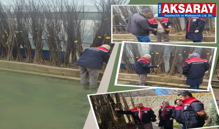 Aksaray’da fidan satışlarına sıkı denetim