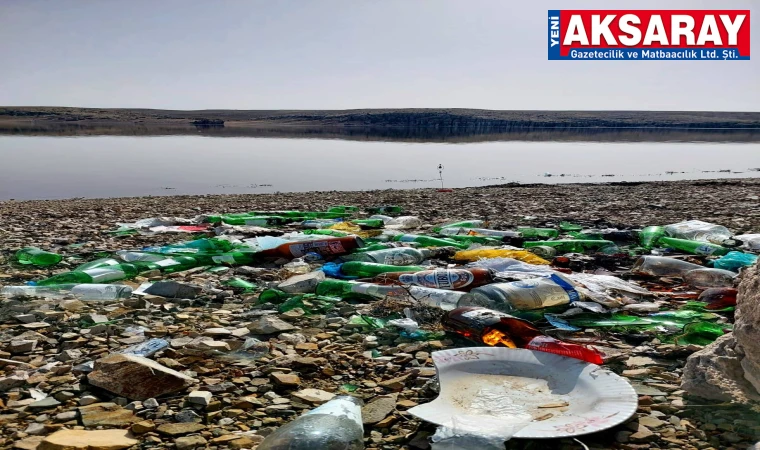 Mamasın Barajı’nda kirlilik alarmı