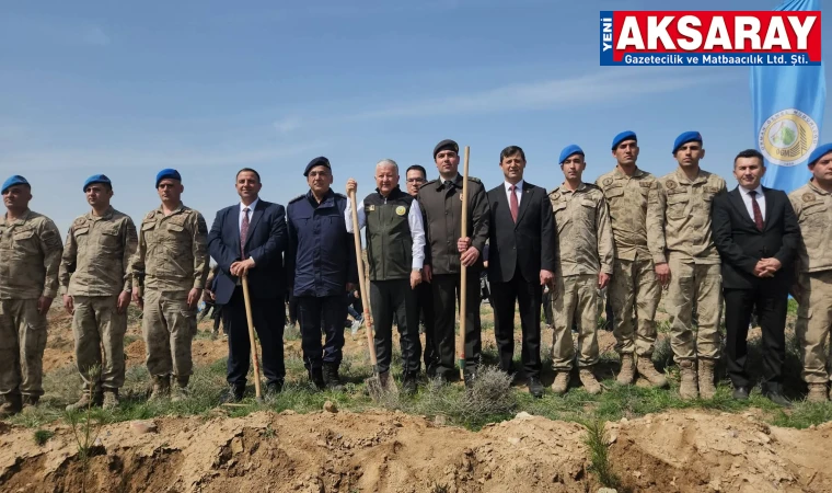 "Türkiye Yüzyılı Mehmetçik Hatıra Ormanı" yükseliyor