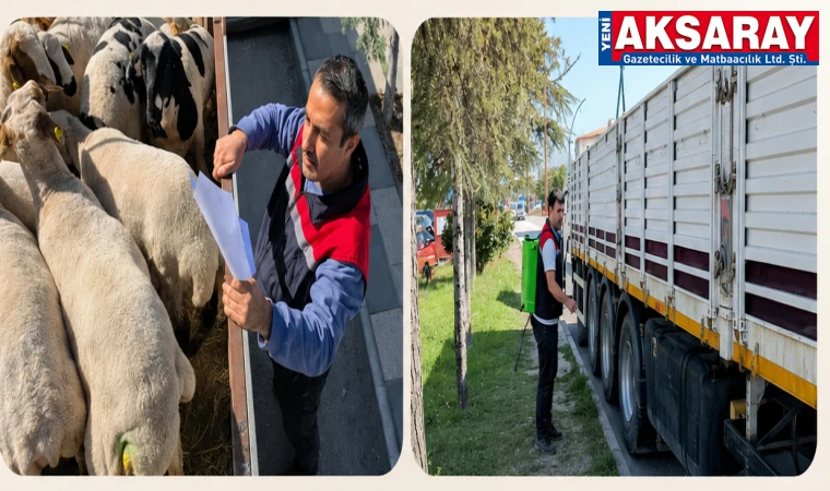 EKİPLER SAHADA Güvenli kurbanlık için sıkı denetim