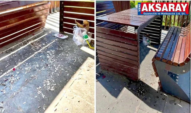 Çekirdek kabuklarıyla kirletilen kamelyalar isyan ettirdi