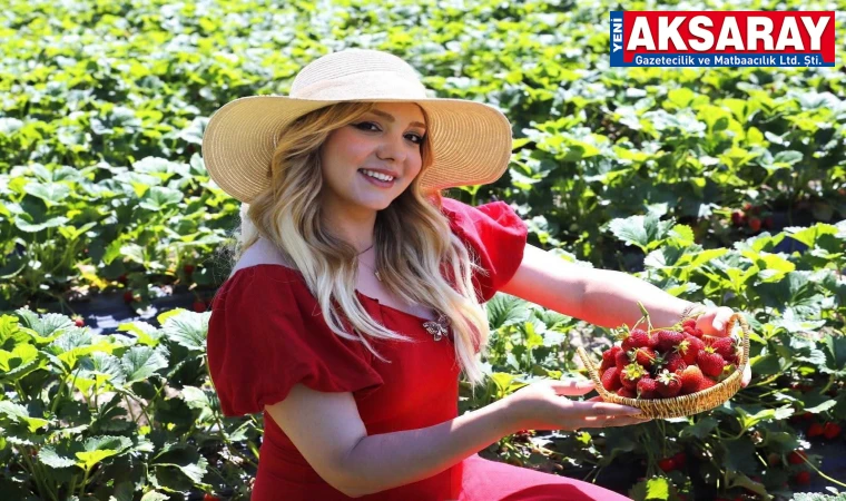 KANAL 7 TV’NİN ÜNLÜ SUNUCUSU HEMŞEHRİMİZ MERVE AMAÇ “Aksaray’ın doğası kadar çilekleri de muhteşem”