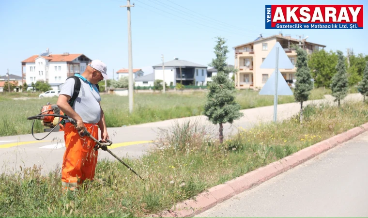 Park ve bahçelerde bahar harekatı