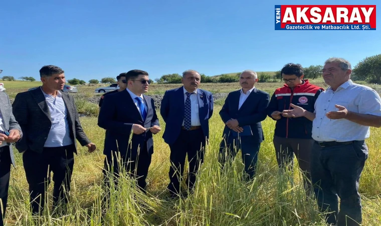 Tarımsal zarar yerinde incelendi