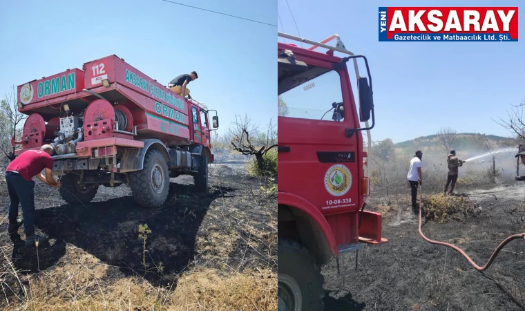Balcı’daki yangın büyümeden söndürüldü