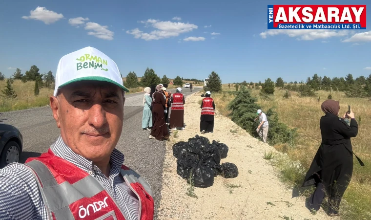Ormanı temizlediler