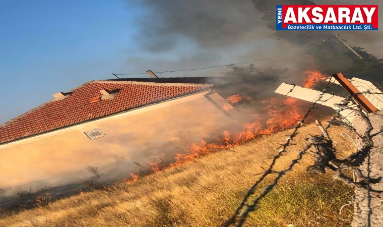 Ot Yangını Korkuttu