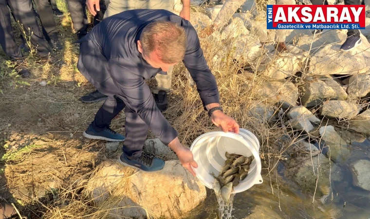 SU KAYNAKLARI CANLANIYOR 500 Bin balık suyla buluştu