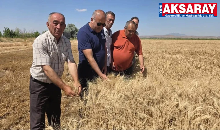 TARIMDA HAFTA SONU MESAİSİ Üreticiler sahada ziyaret edildi