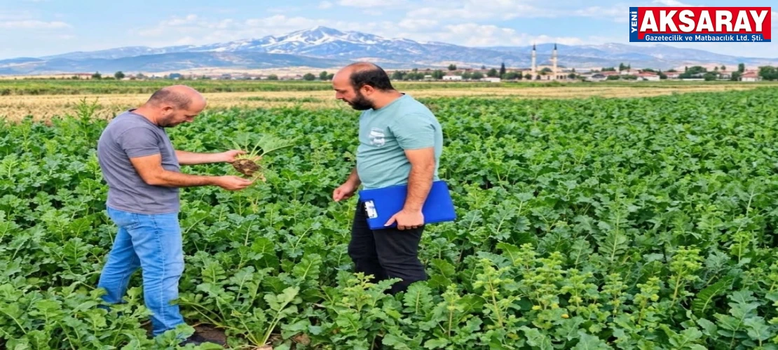 Aksaray’da tarım arazilerinde saha kontrolleri aralıksız sürüyor