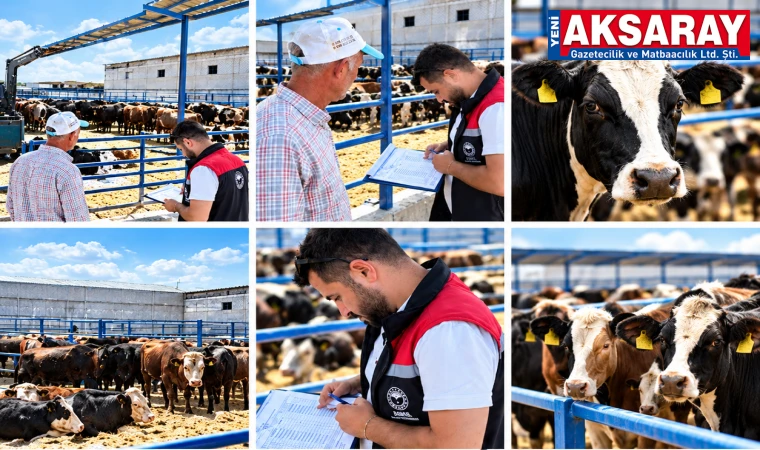 İthal hayvanlara sıkı karantina ve sağlık taraması