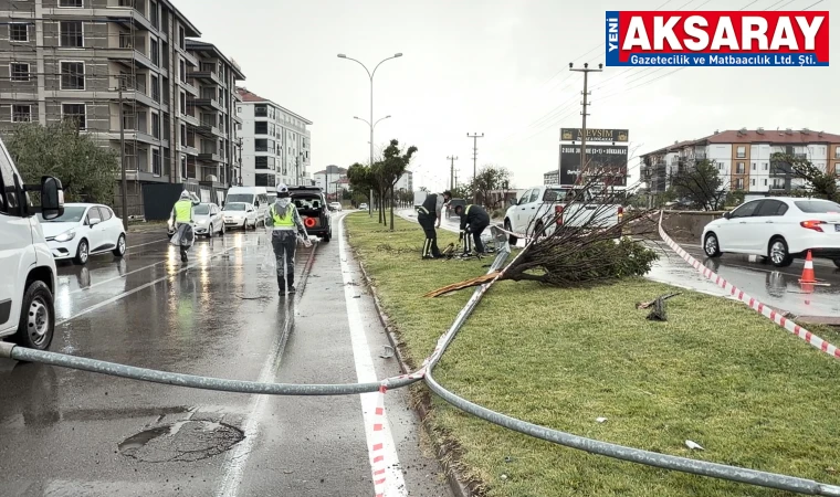Kontrolden çıkan otomobil önce direği sonra ağacı devirdi: 1 yaralı
