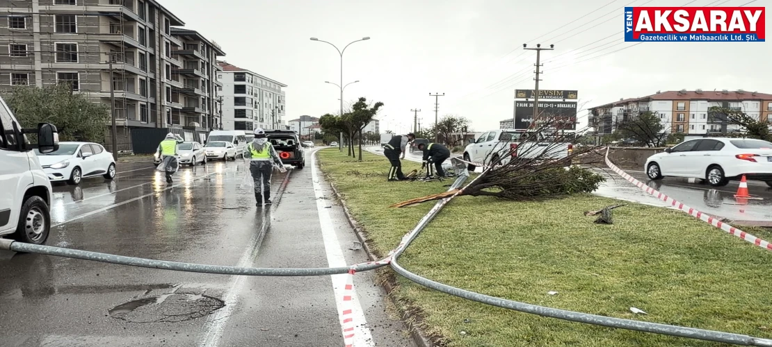 Kontrolden çıkan otomobil önce direği sonra ağacı devirdi: 1 yaralı